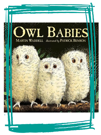 Book cover of Owl Babies by Martin Waddell