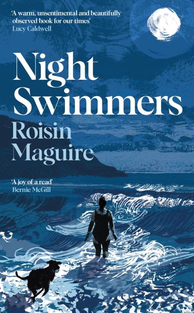 Book cover of Night Swimmers by Roisin Maguire