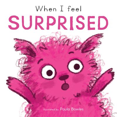 Book cover image of When I Feel Surprised Illustrated By Paula Bowles