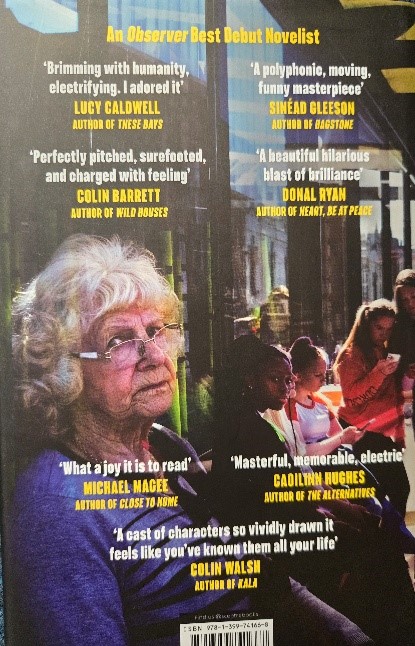 Back cover of The Benefactors By Wendy Erskine